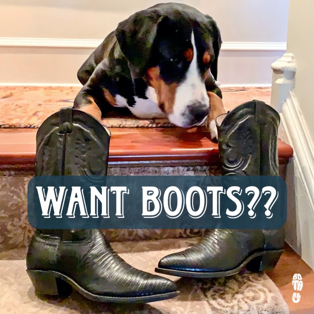 Meet Botablu! Vintage Boots, Rare Cowboy Boots, Frye, Old Gringo & more. Shop on